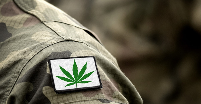 cannabis leaf on camoflauge