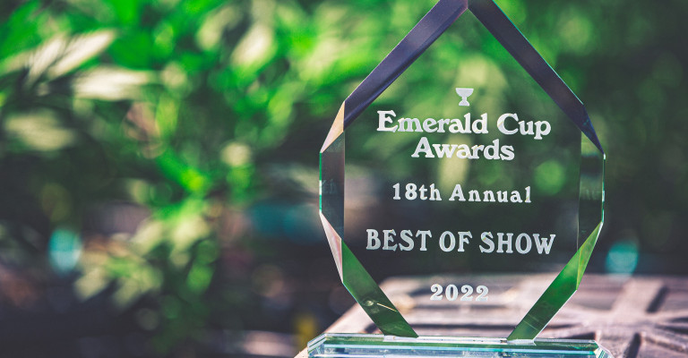 Emerald Cup Award