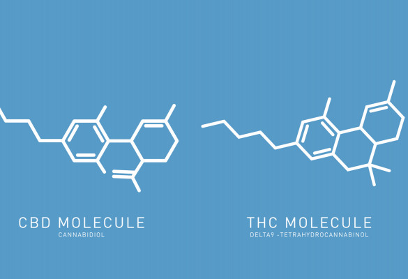 CBD ands THC molecules