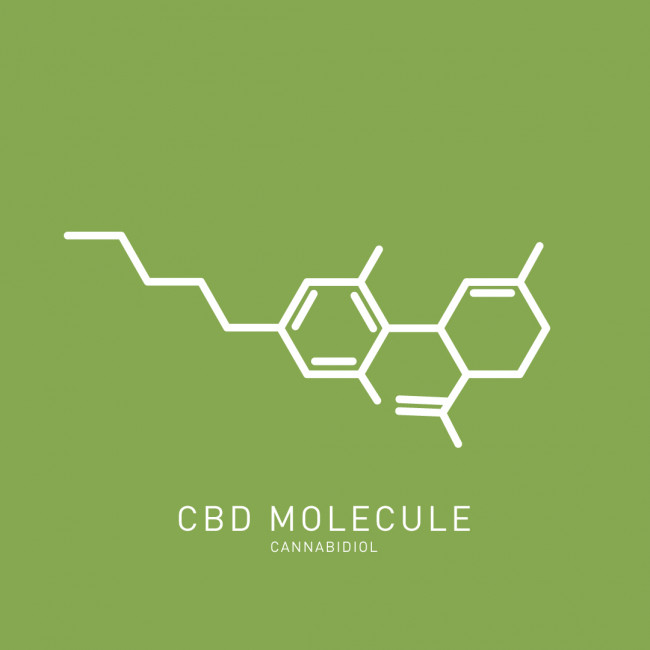 Infographic illustrating the CBD molecule