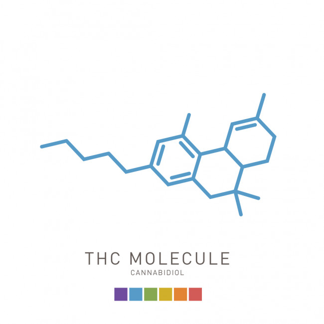 Illustration of a THC molecule