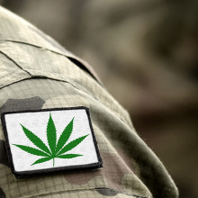 cannabis leaf on camoflauge